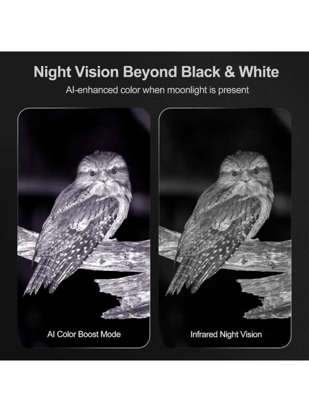 4K Night Vision Binoculars for Adults - High-Performance, Waterproof, Long Range